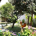 Urban Oasis Vandrerhjem