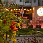 Urban Oasis Хостел