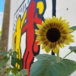 Urban Oasis Лечче