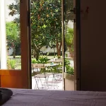 Urban Oasis *