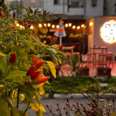 Urban Oasis Hostel