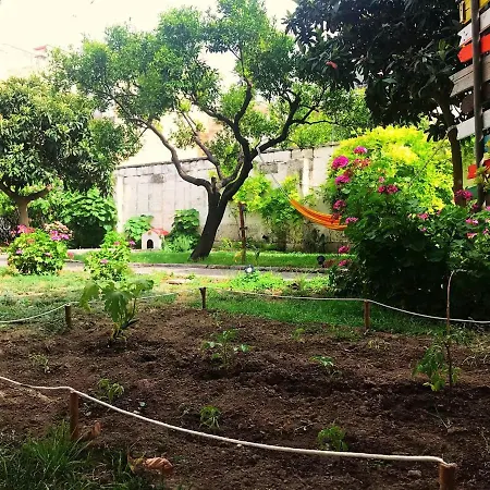 Urban Oasis Hostel *
