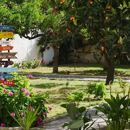 Urban Oasis * לצ'ה