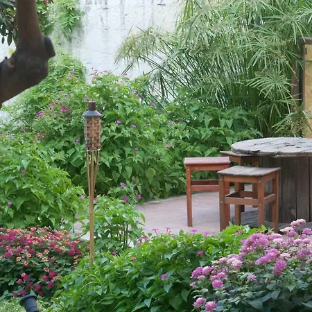 Urban Oasis *