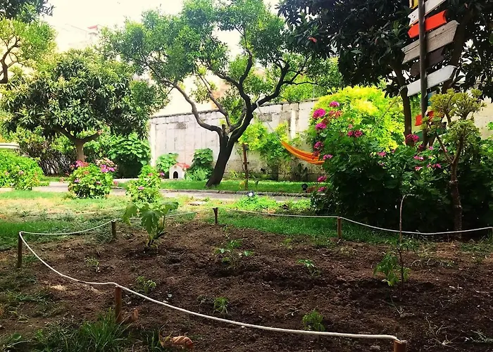 Urban Oasis אכסניה *