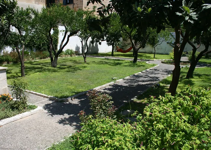 Urban Oasis אכסניה