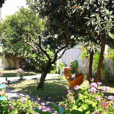 Urban Oasis Albergue