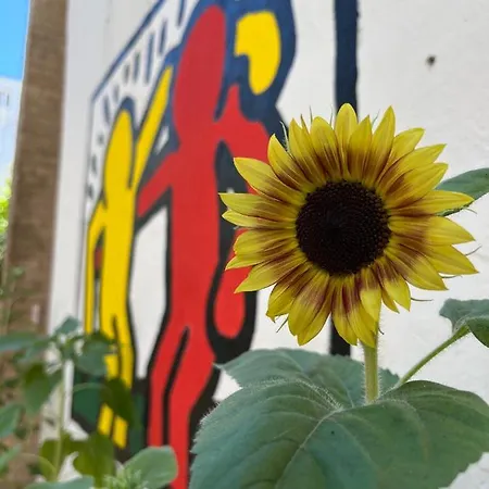 Urban Oasis ليتشي