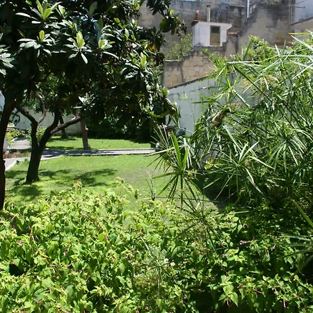 Urban Oasis Albergue *