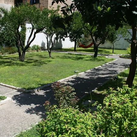 Urban Oasis Albergue