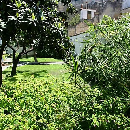 Urban Oasis *