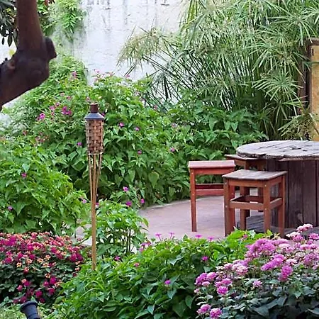 Urban Oasis Hostal *