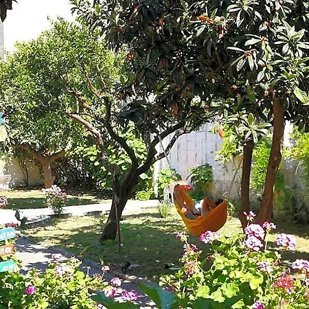 Hostal Urban Oasis *