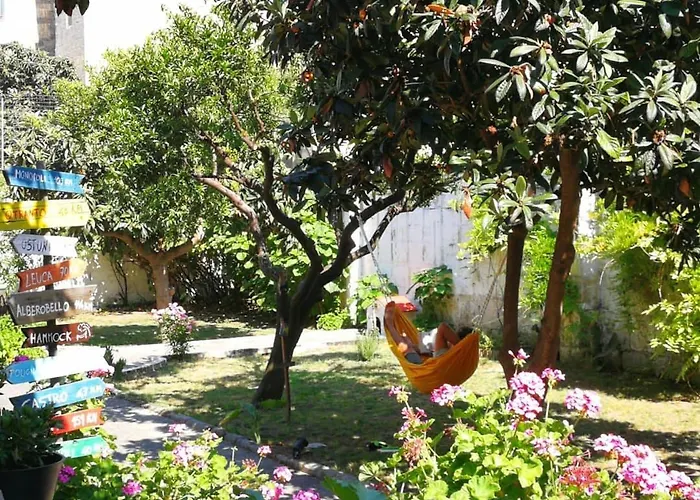 Urban Oasis אכסניה