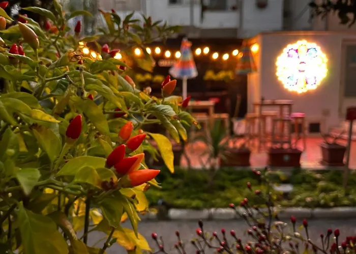 Urban Oasis אכסניה