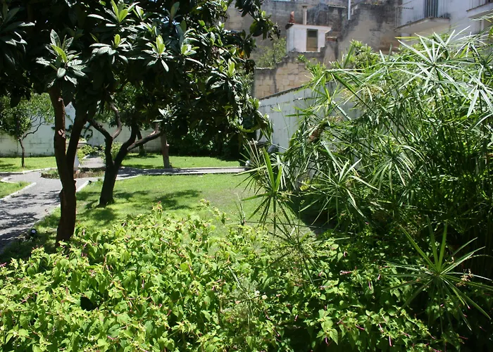 Urban Oasis אכסניה *